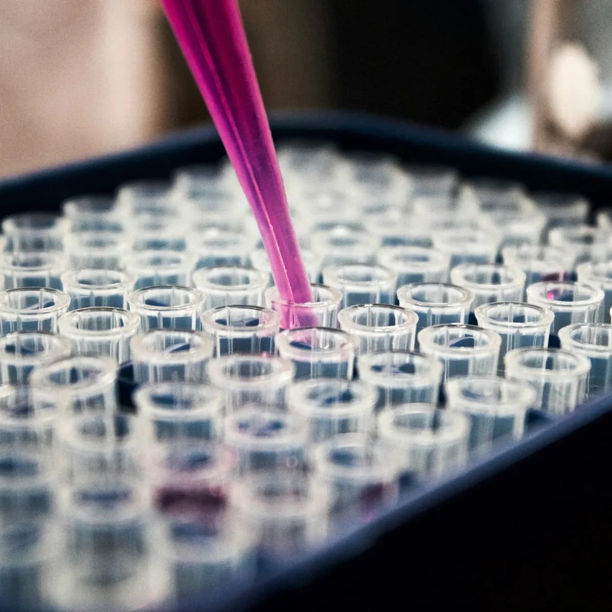 Micropipette, Variable Volume